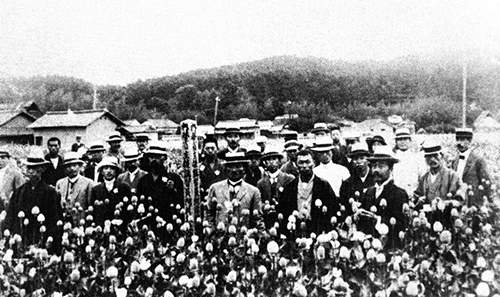 战争时期日本在中国广泛种植鸦片，以达到以战养战的目的