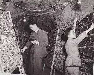 永恒的抗战声音《我们在割稻子》