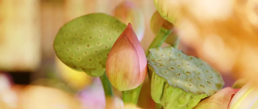 阅读录丨1苦，2累，3变，4忍，5容，6静，7舍，8做，9爱，10恨（经典）