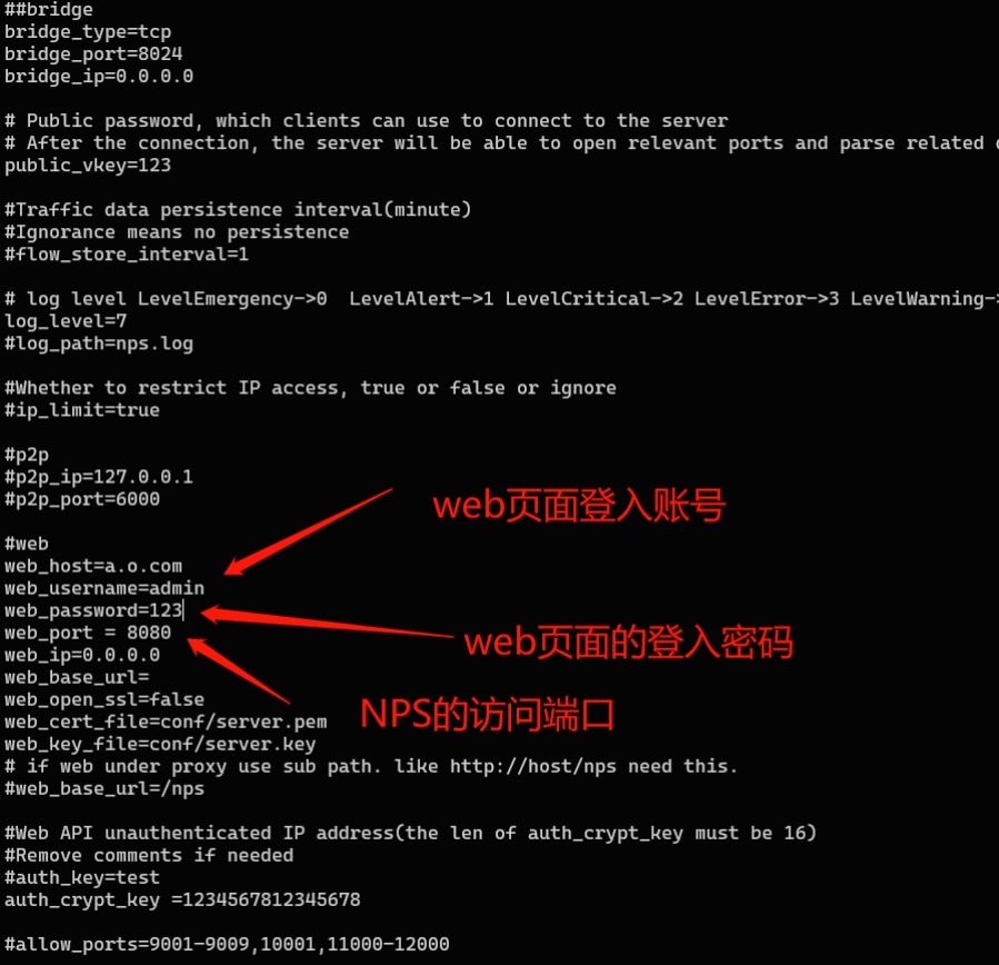 内网穿透代理（NPS）搭建以及使用