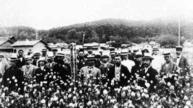 战争时期日本在中国广泛种植鸦片，以达到以战养战的目的