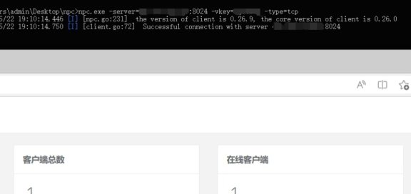 内网穿透代理（NPS）搭建以及使用