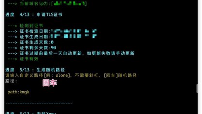 Xray-core/sing-box 一键脚本客户端使用教程