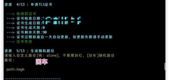 Xray-core/sing-box 一键脚本客户端使用教程