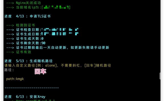 Xray-core/sing-box 一键脚本客户端使用教程